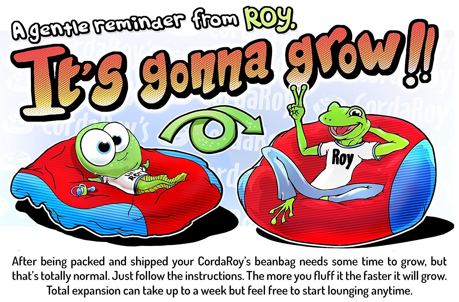 Beanbag Chair that Transforms Into a Bed