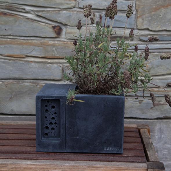 Beepot Planter and Bee House