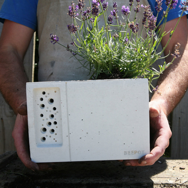 Beepot Planter and Bee House