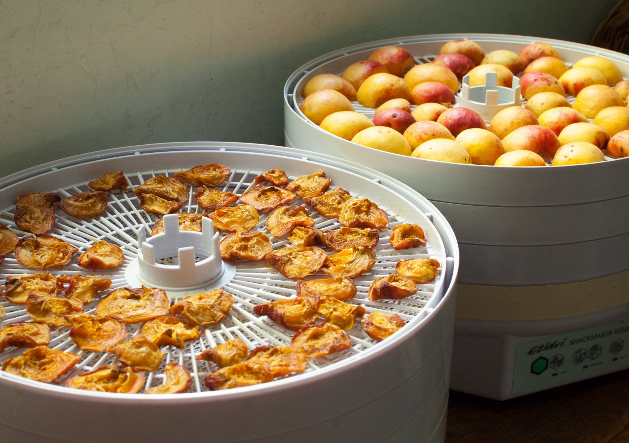 Dehydrator