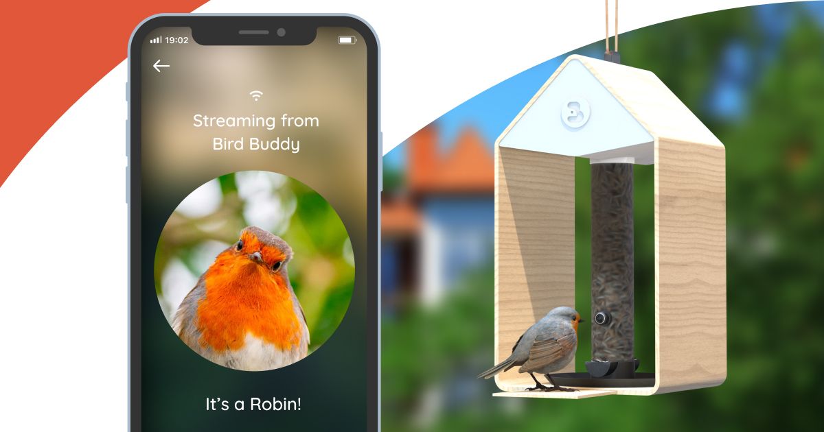 Bird Buddy Smart Bird Feeder