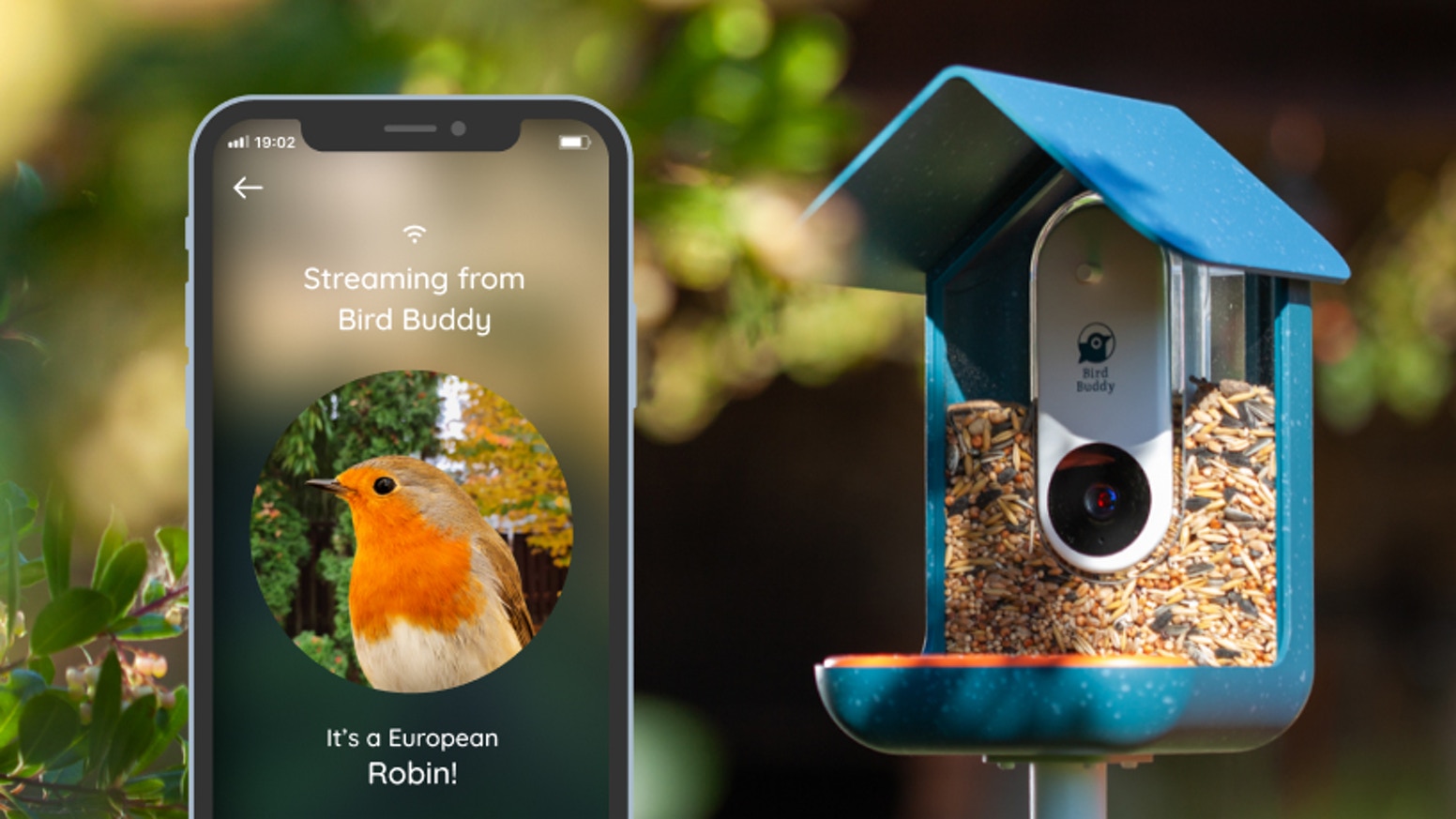 Bird Buddy Smart Bird Feeder