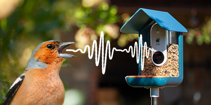 Bird Buddy Smart Bird Feeder