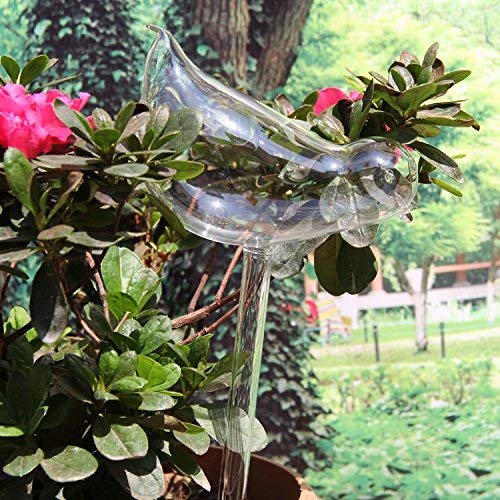 Bird Shaped Self Watering Plant Siyaglass