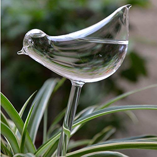 Bird Shaped Self Watering Plant Siyaglass