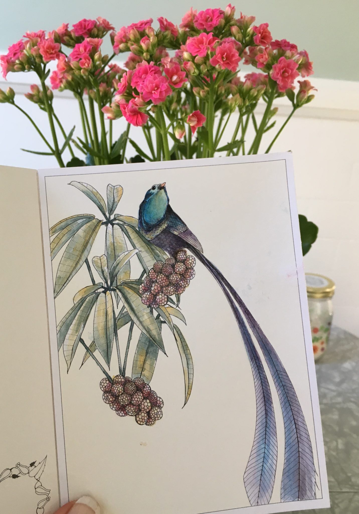 Birdtopia: Coloring Book