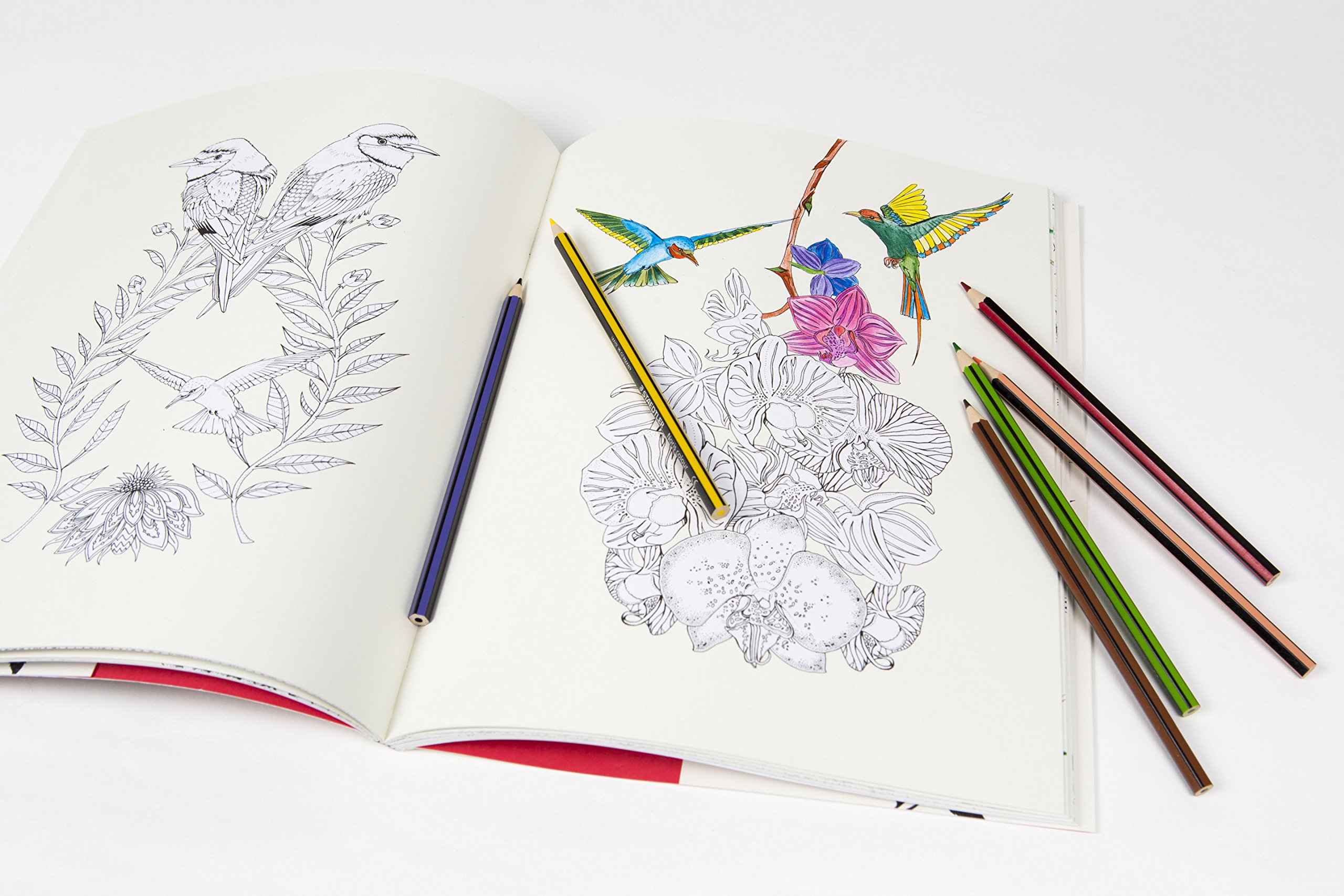 Birdtopia: Coloring Book