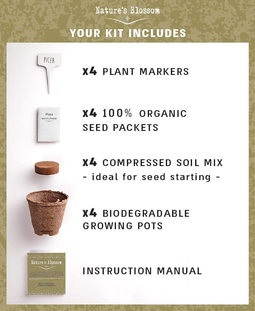 Bonsai Garden Seed Starter Kit