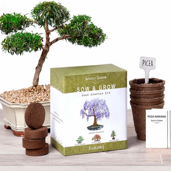 Bonsai Garden Seed Starter Kit