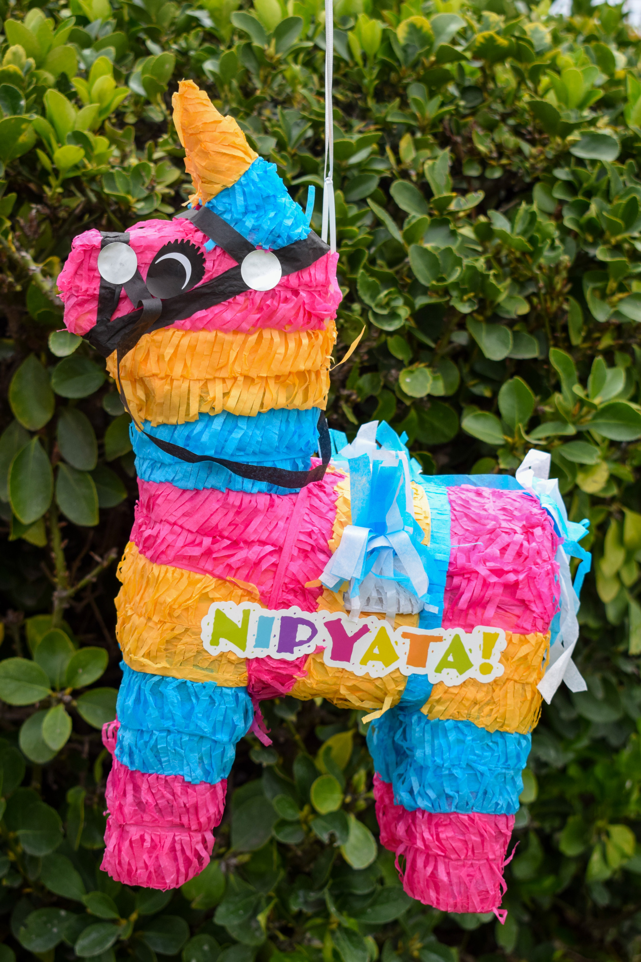 Booze Pinata