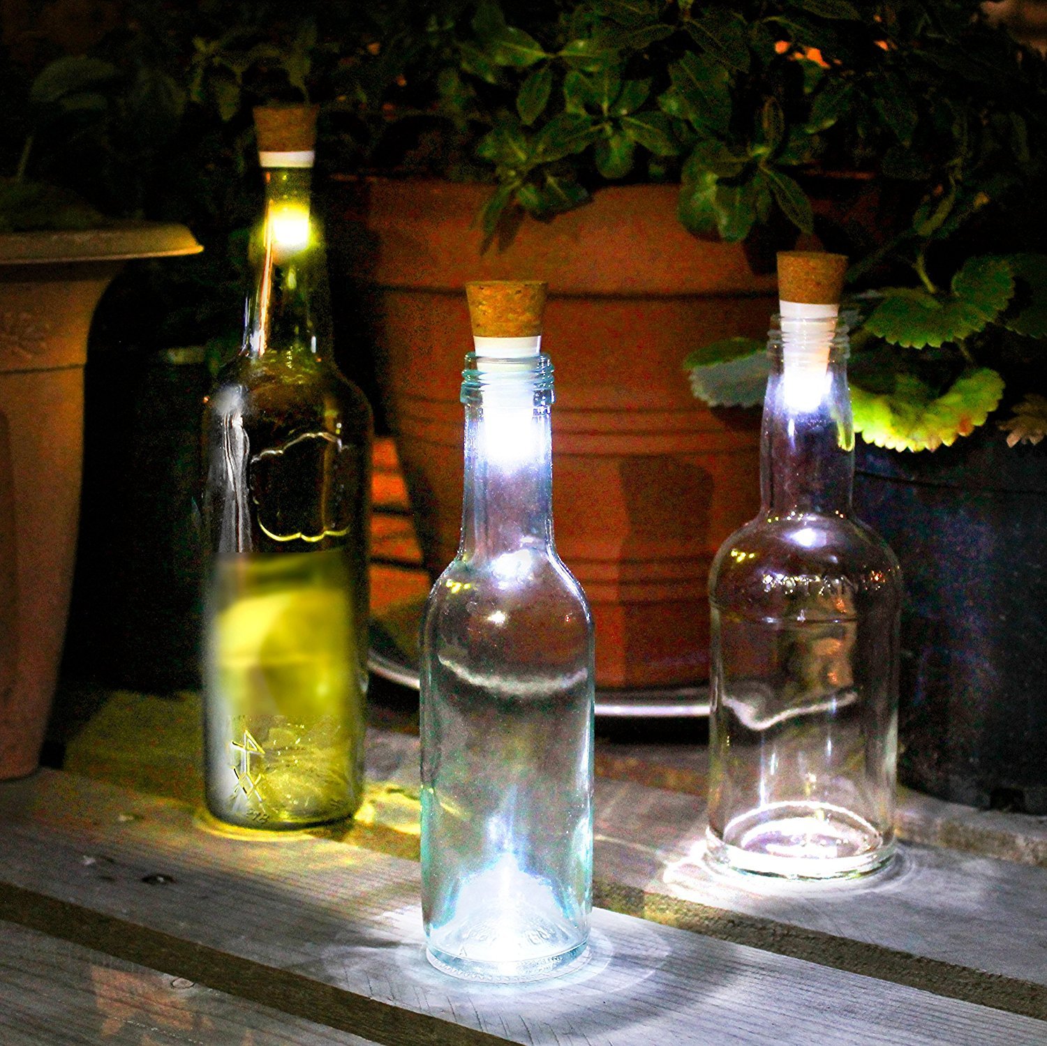 Bottle Light