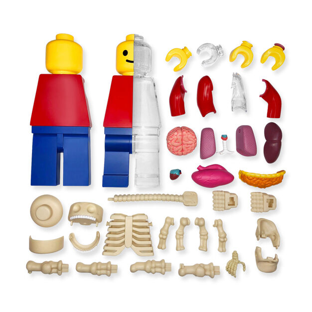 Brick Man Anatomical Puzzle