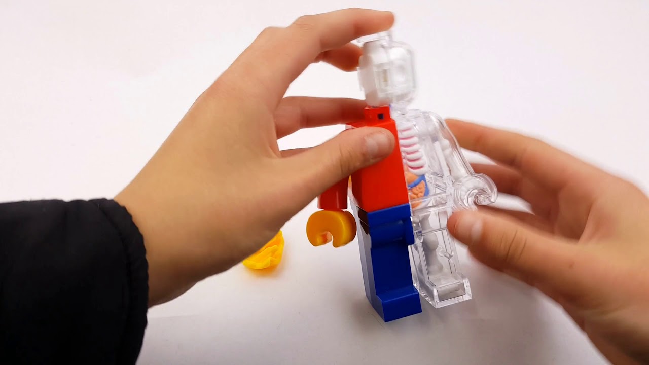 Brick Man Anatomical Puzzle