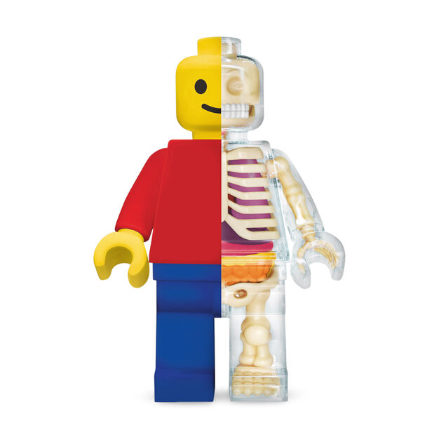 Brick Man Anatomical Puzzle
