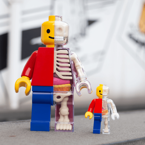 Brick Man Anatomical Puzzle