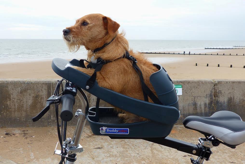 Buddyrider Bicycle Pet Seat