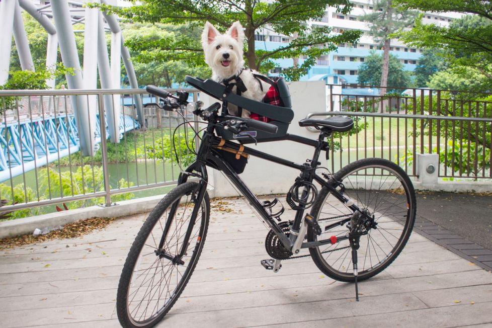 Buddyrider Bicycle Pet Seat