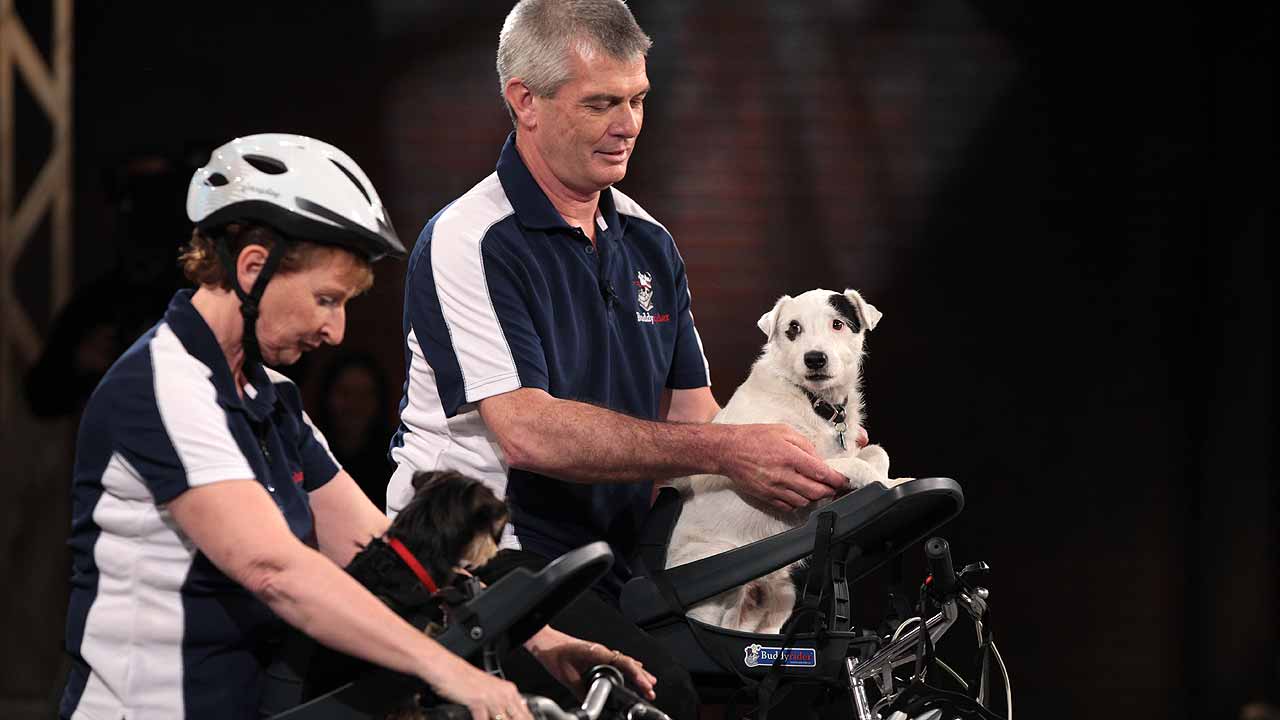 BuddyRider Dog Bicycle Seat