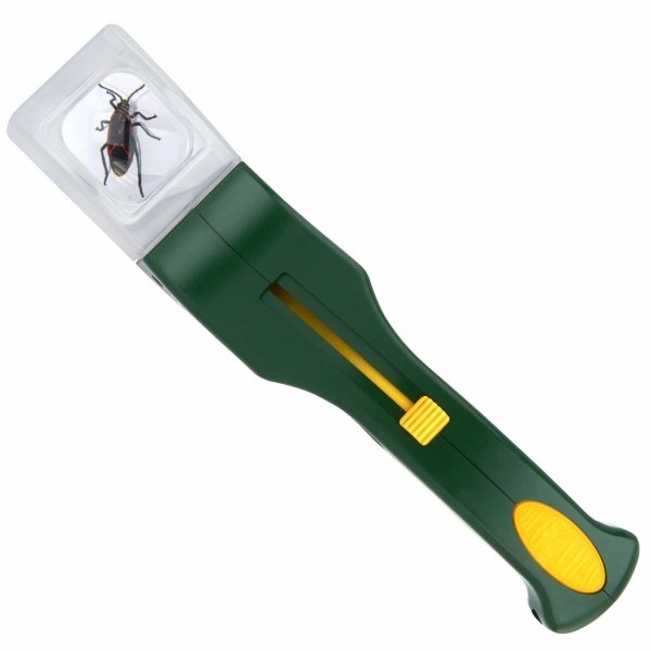 Bug Catching Tool and Magnifier