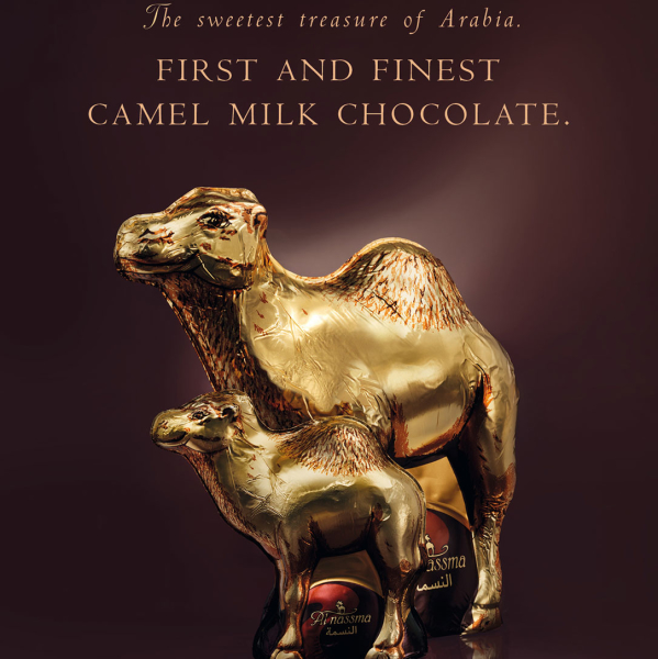 Camel Milk Chocolate