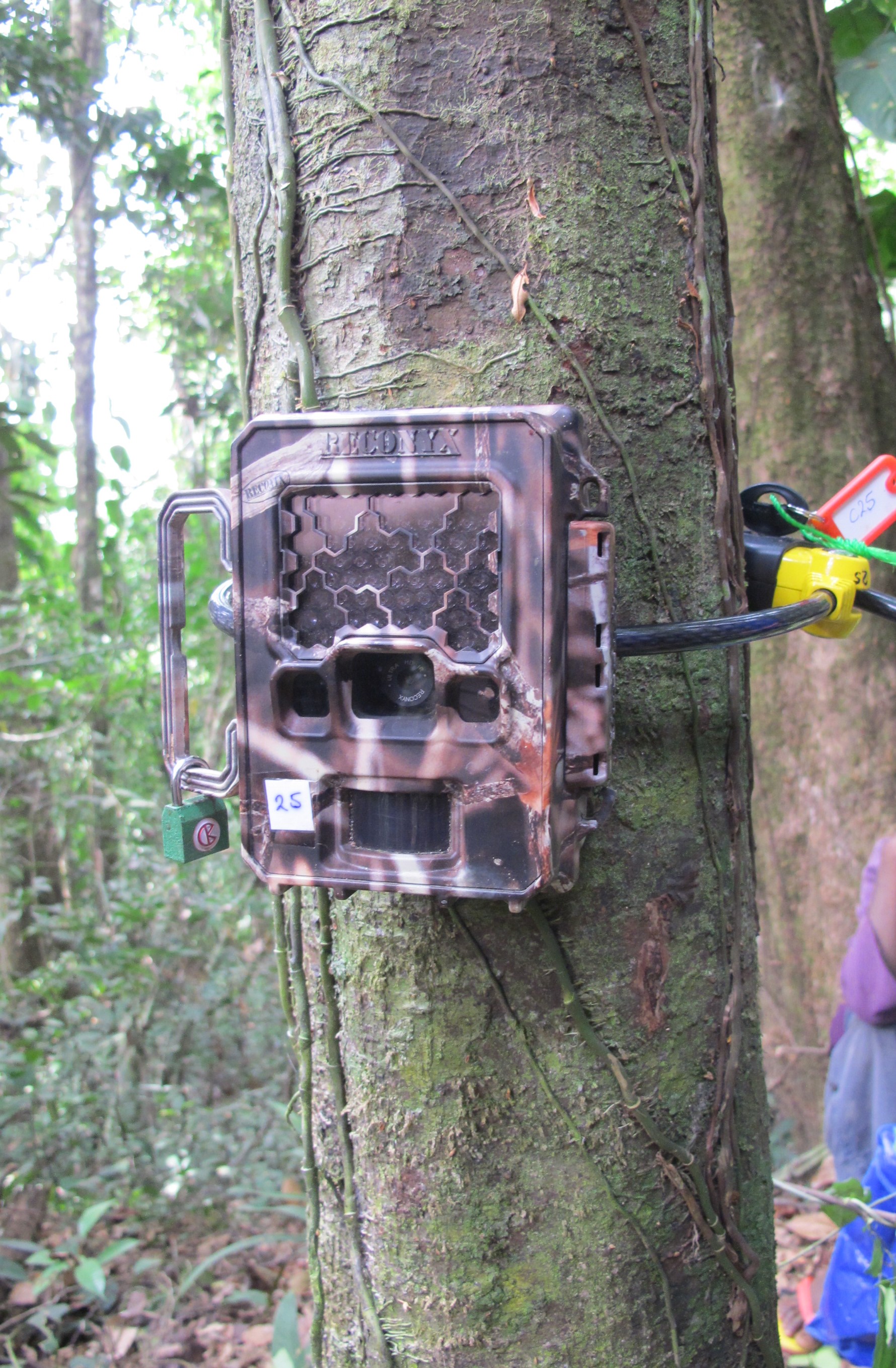 Camera Trap