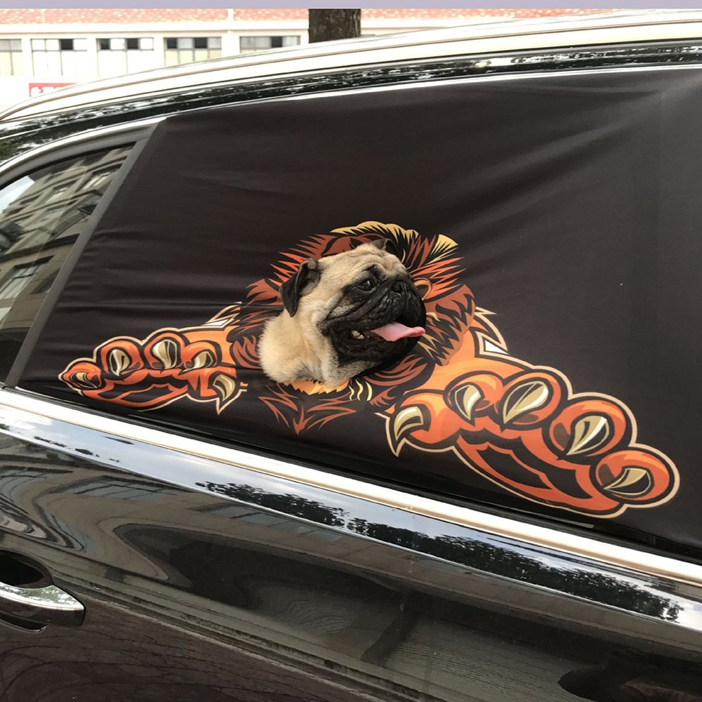 Car Window Screen for Dogs