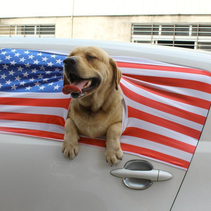 Car Window Screen for Dogs