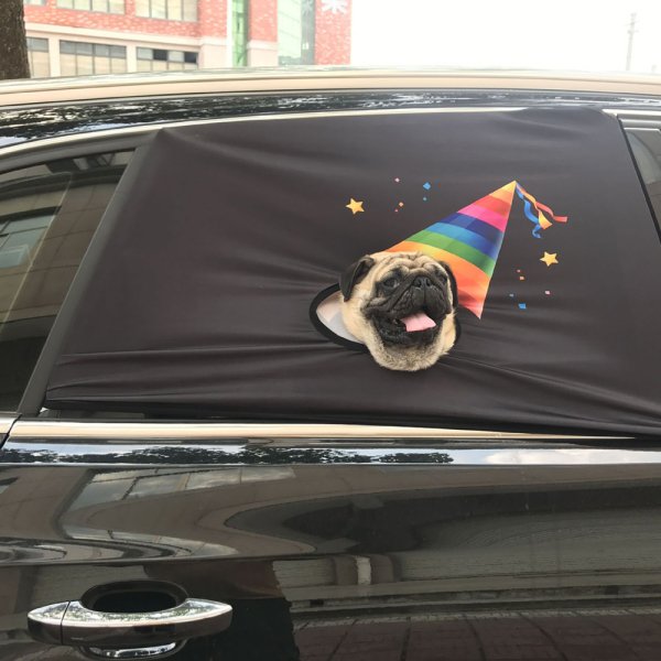 Car Window Screen for Dogs