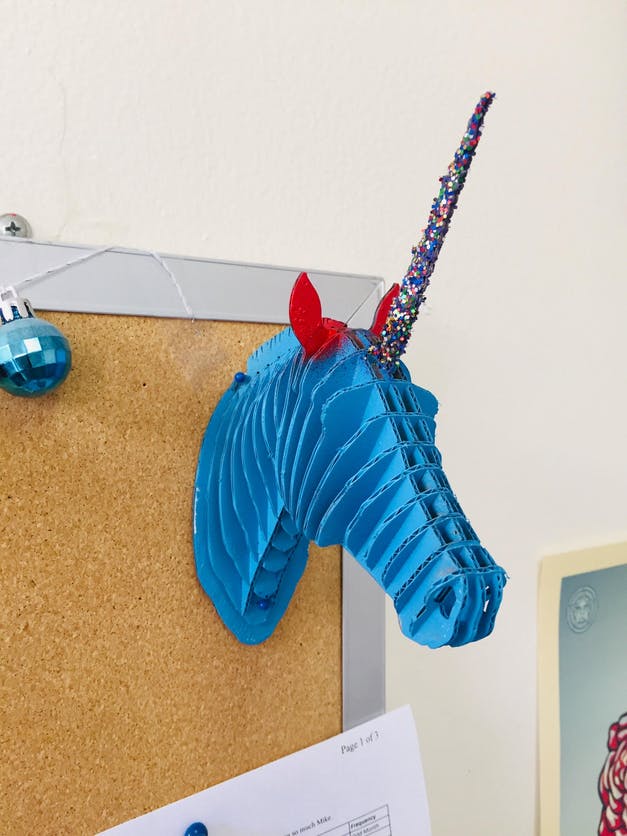 Cardboard Animal Head