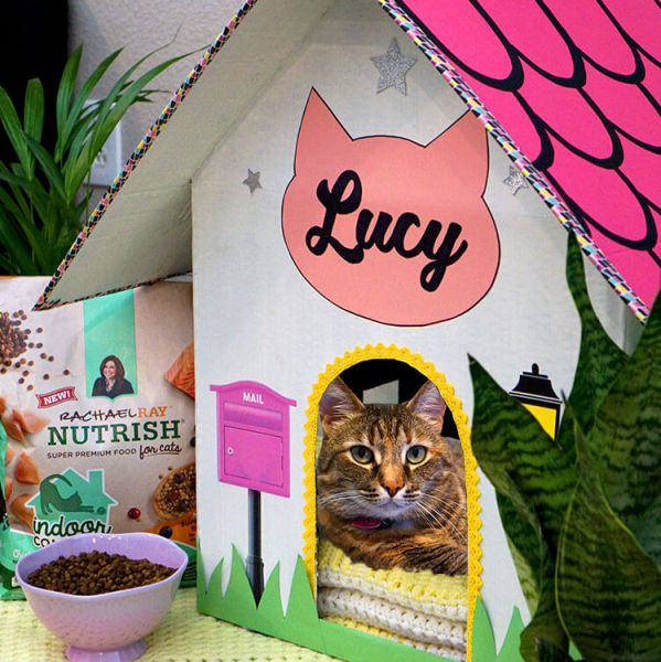 Cardboard Cat House