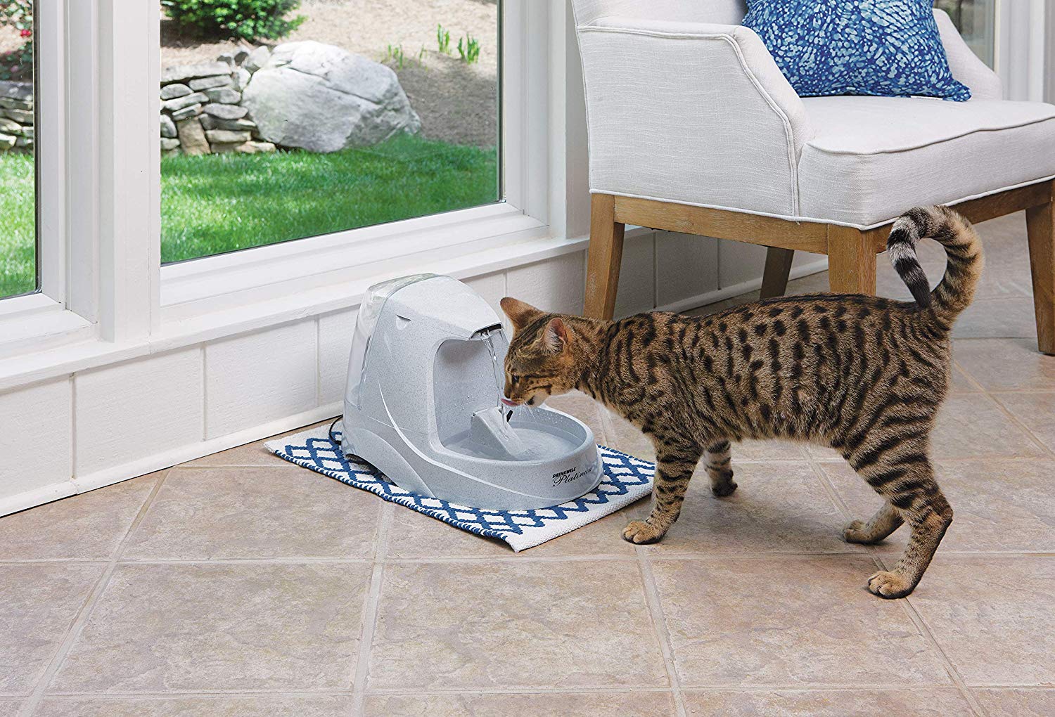 Cat and Dog Water Fountain