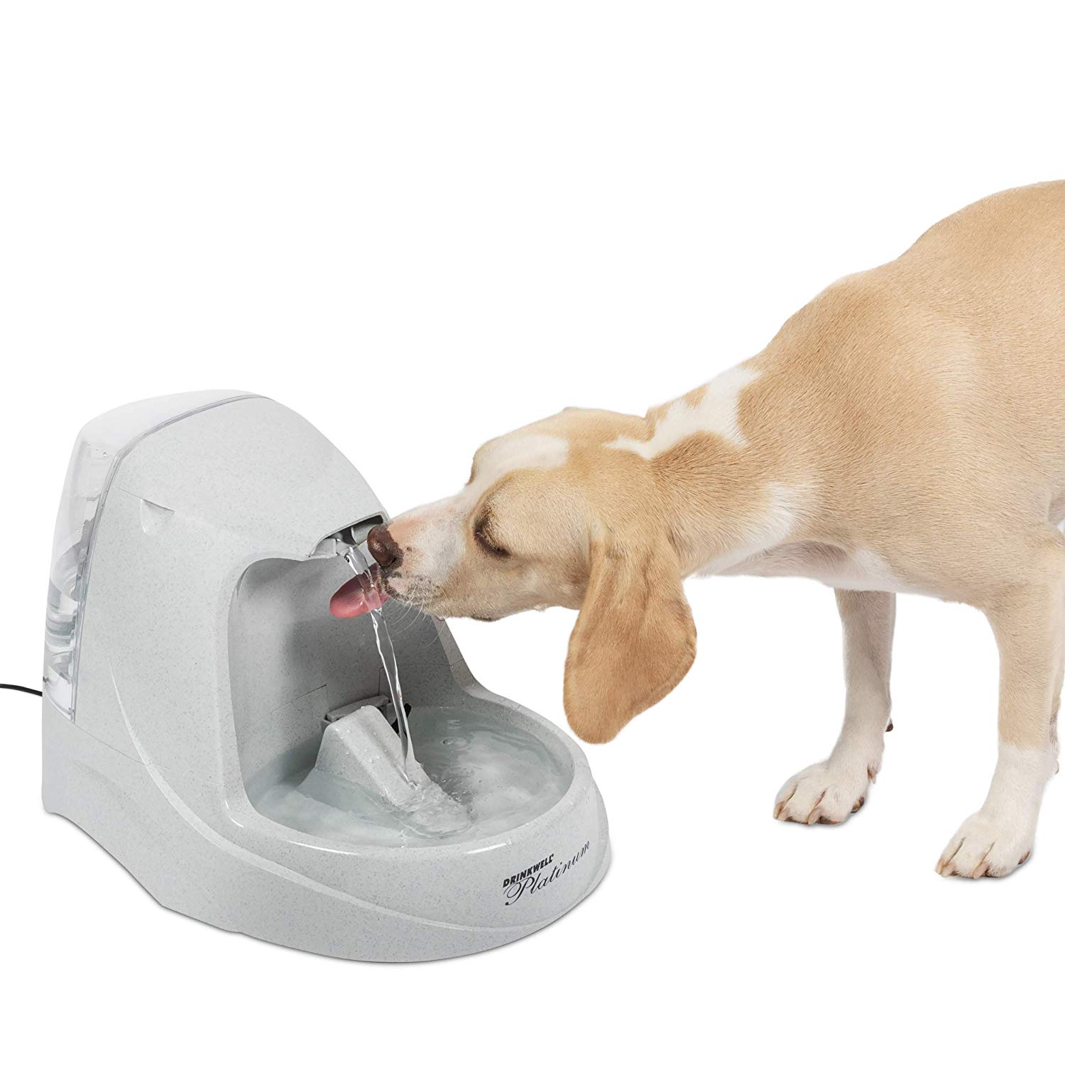 Cat and Dog Water Fountain