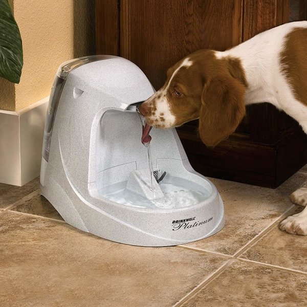 Cat and Dog Water Fountain