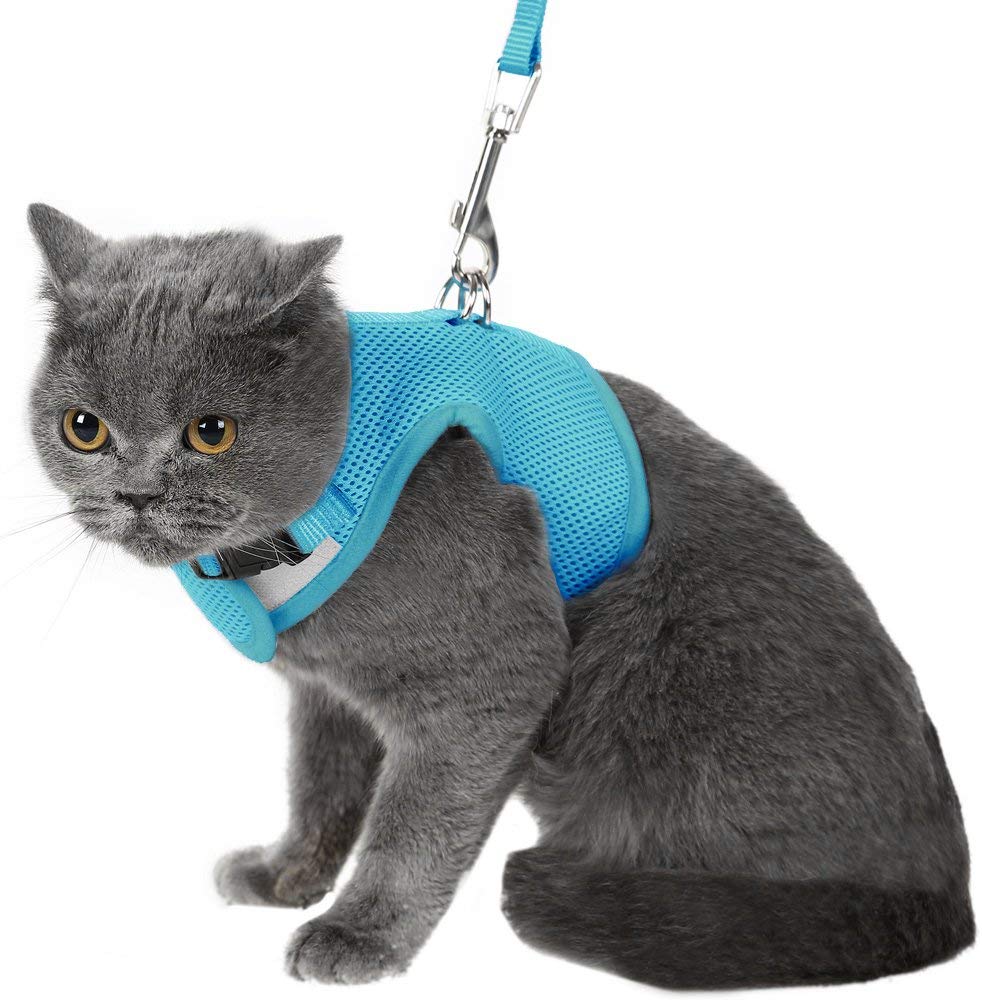 Cat Harness with Leash