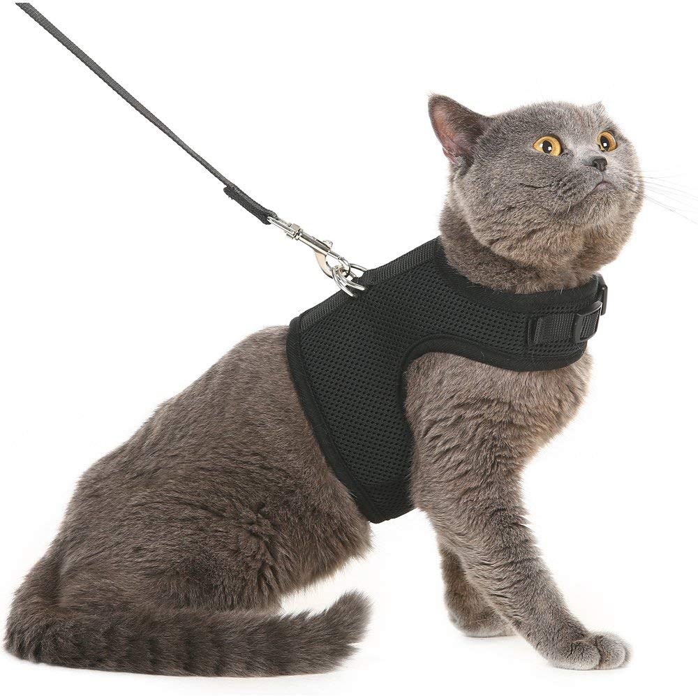 Cat Harness with Leash