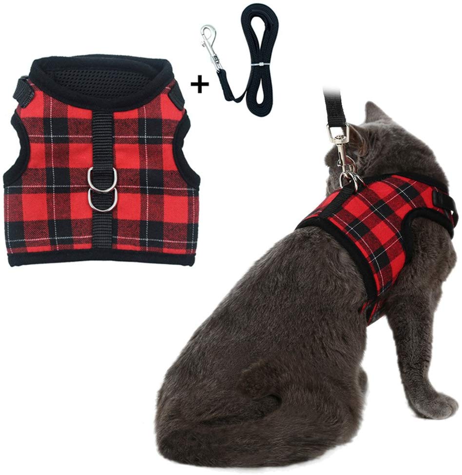 Cat Harness with Leash