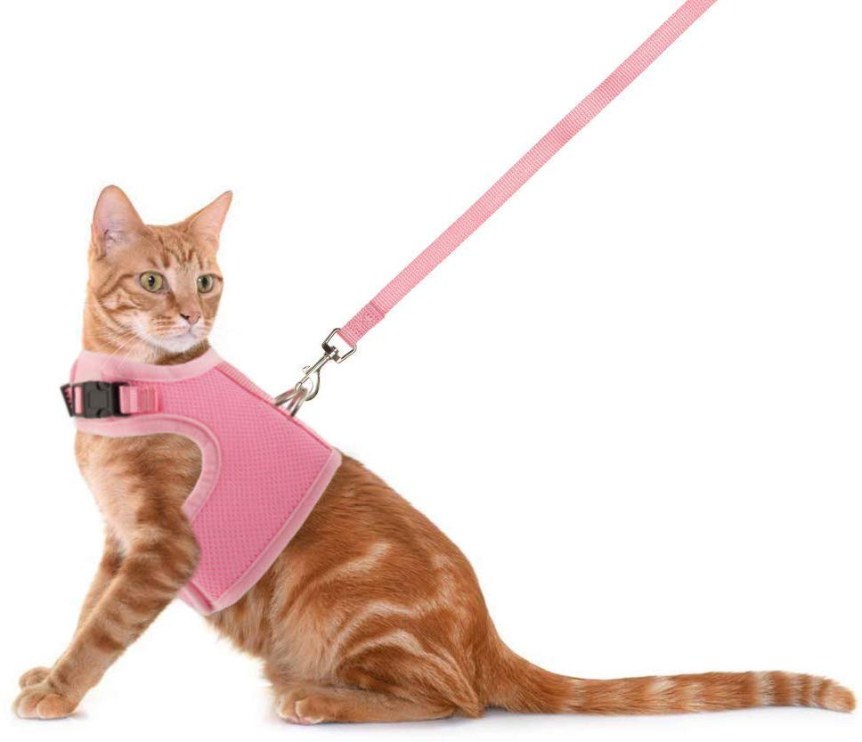 Cat Harness with Leash