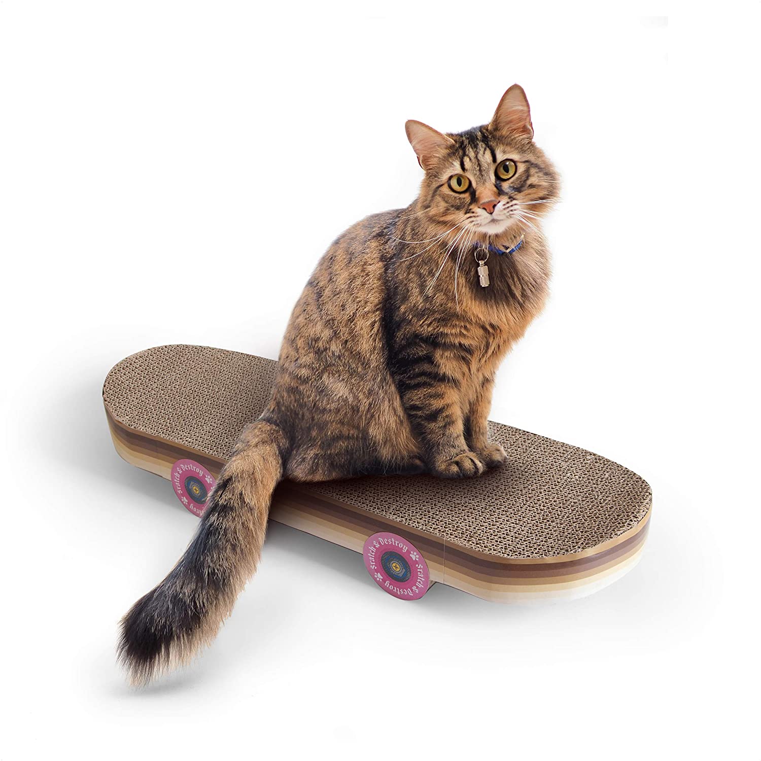 Cat Skateboard Scretcher