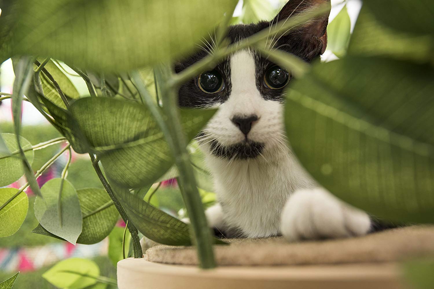 Cat Tree House Tower