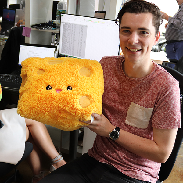 Cheese Wedge Pillow