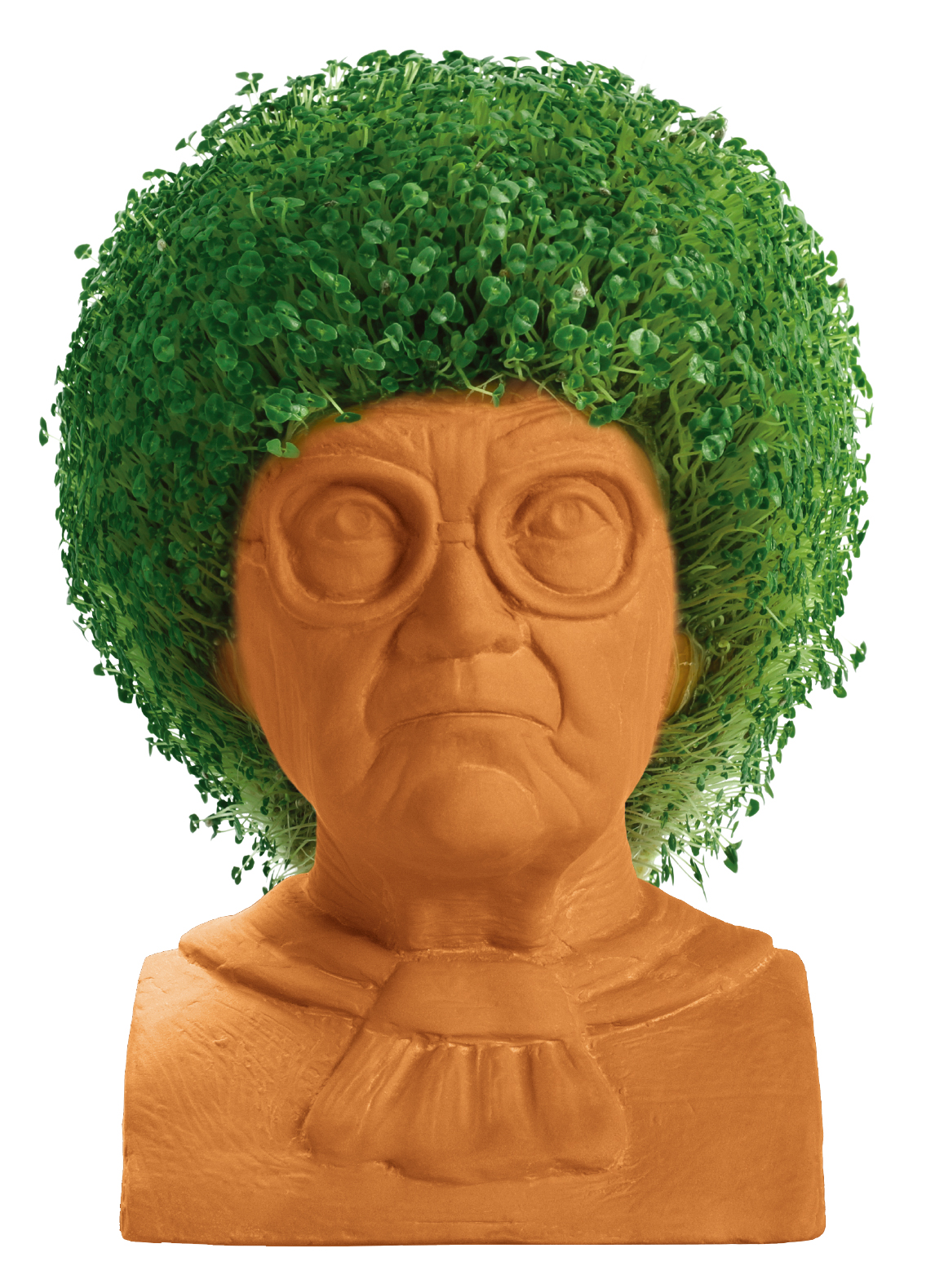 Sophia Chia Pet 