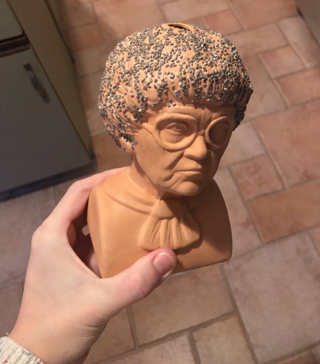 Sophia Chia Pet 