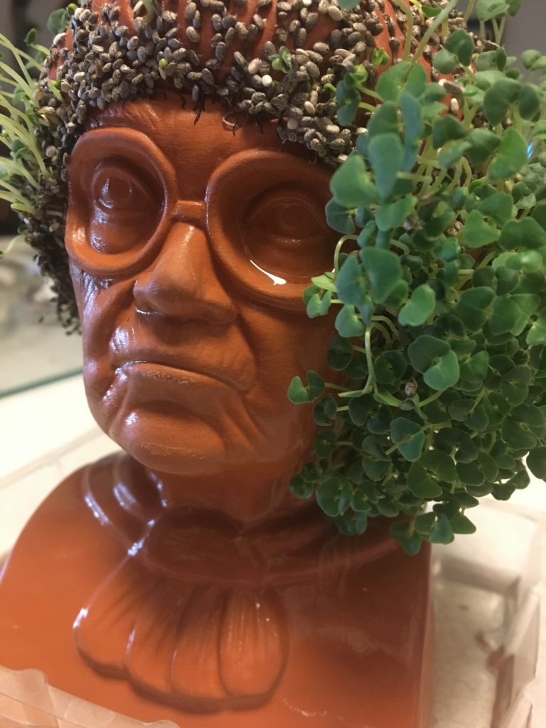 Sophia Chia Pet 