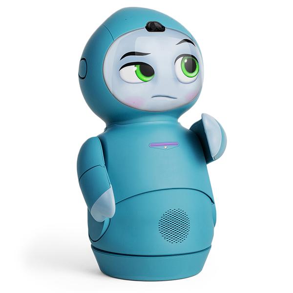 Childhood Development Robot