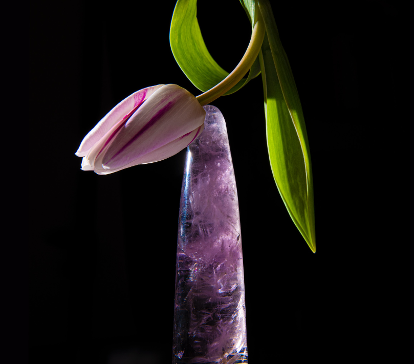 Chrystal Erotic Massager