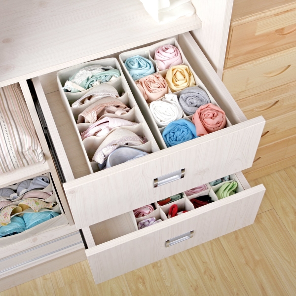 Closet Underwear Organizer