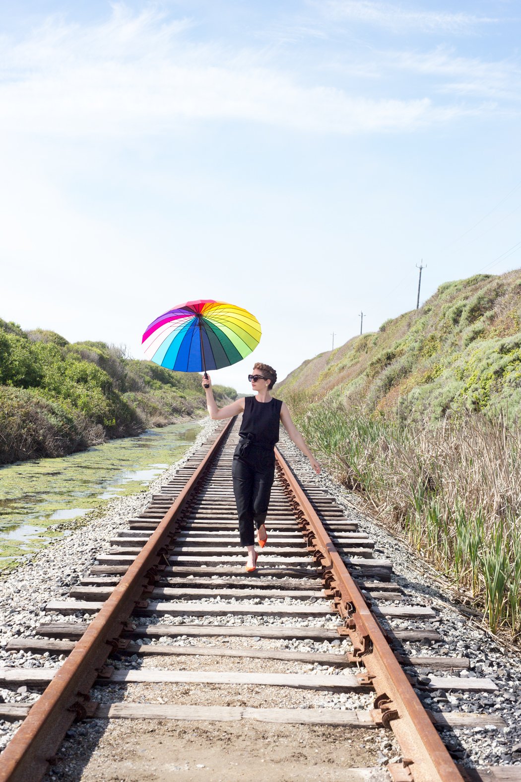 Color Wheel Umbrella