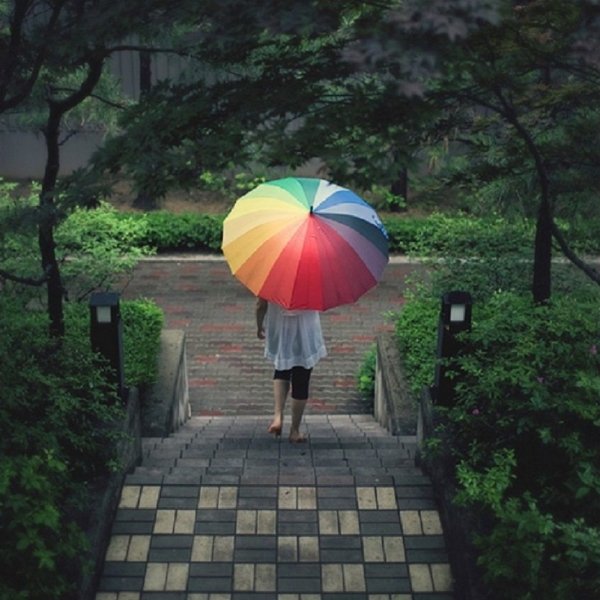 Color Wheel Umbrella