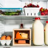 Compact Cheese Humidor