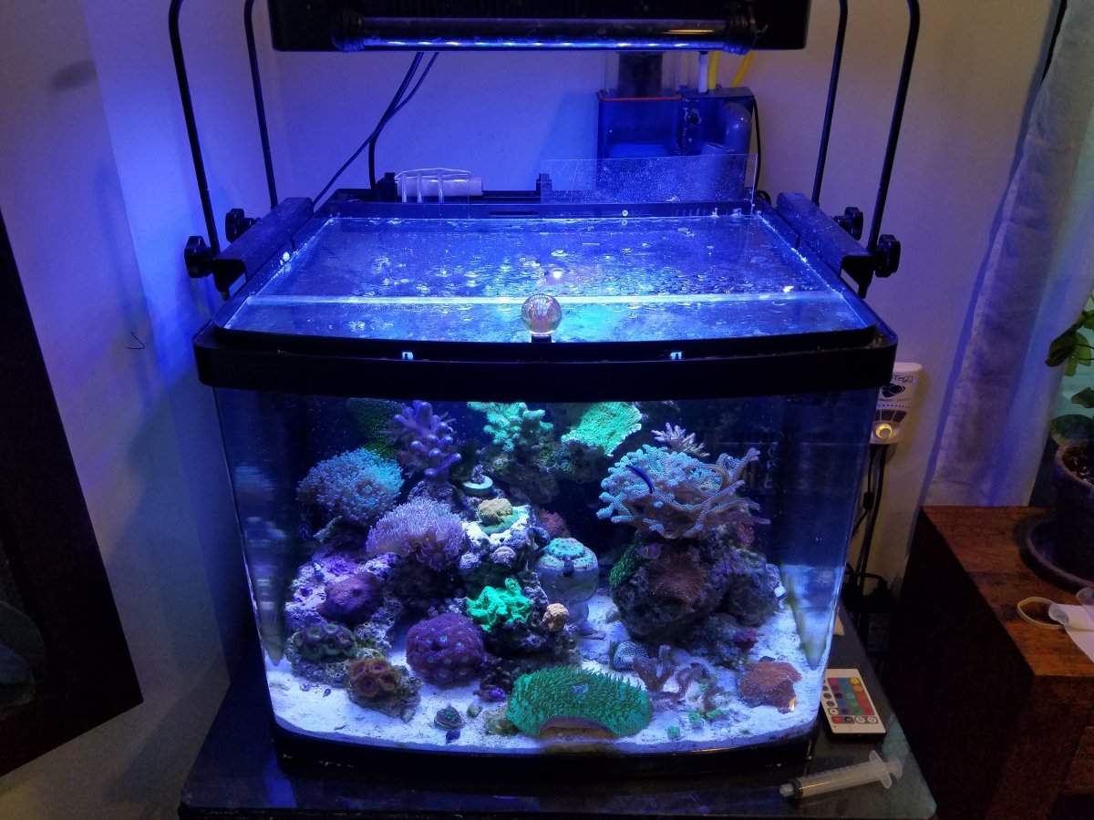 Coralife BioCube Reef Tank Aquarium